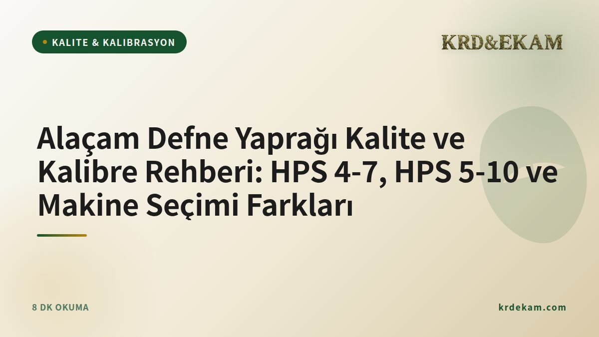 Alaçam Defne Yaprağı Kalite ve Kalibre Rehberi: HPS 4-7, HPS 5-10 ve Makine Seçimi Farkları