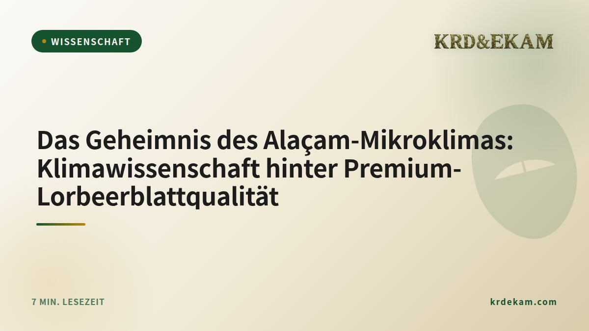 Das Geheimnis des Alaçam-Mikroklimas: Klimawissenschaft hinter Premium-Lorbeerblattqualität