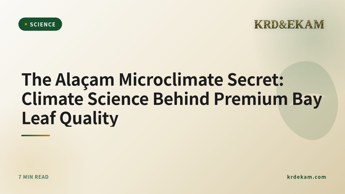 The Alaçam Microclimate Secret: Climate Science Behind Premium Bay Leaf Quality