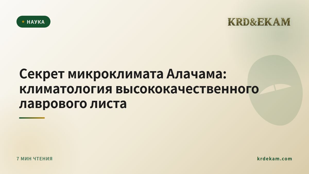 Секрет микроклимата Алачама: климатология высококачественного лаврового листа
