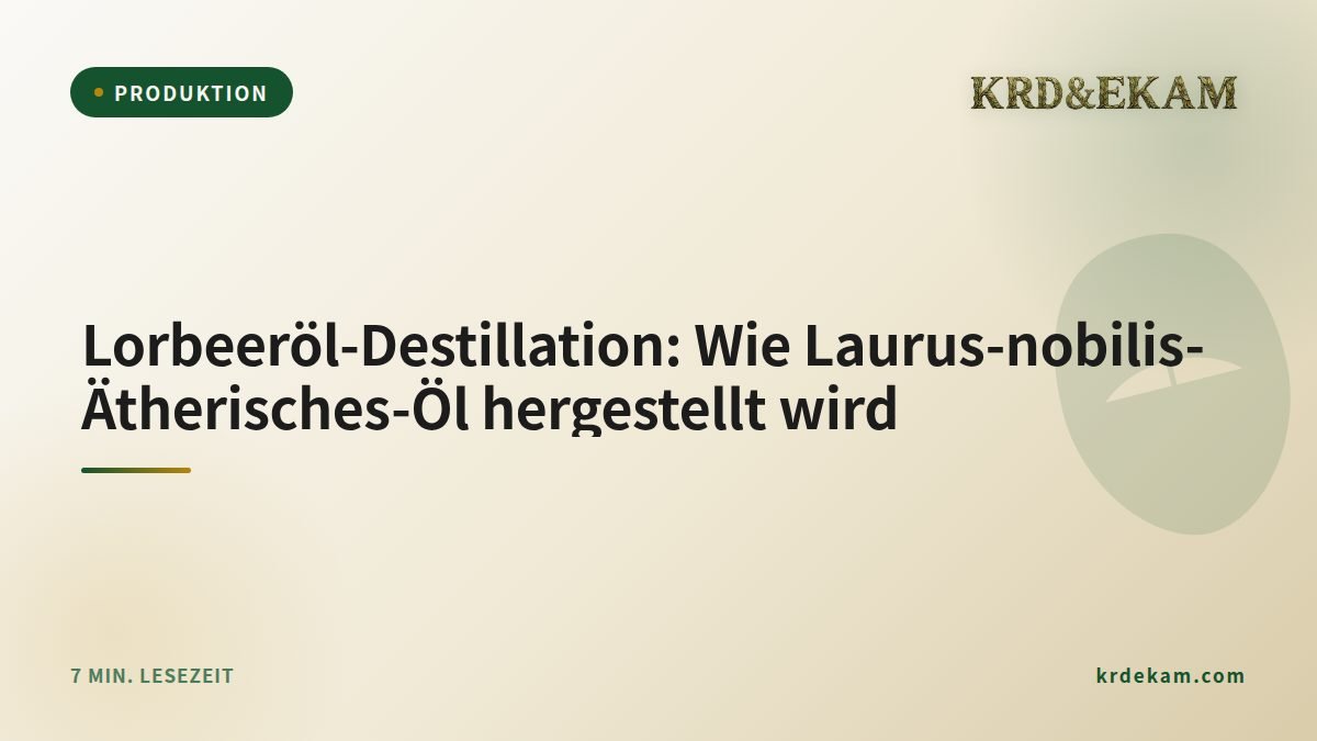 Lorbeeröl-Destillation: Wie Laurus-nobilis-Ätherisches-Öl hergestellt wird