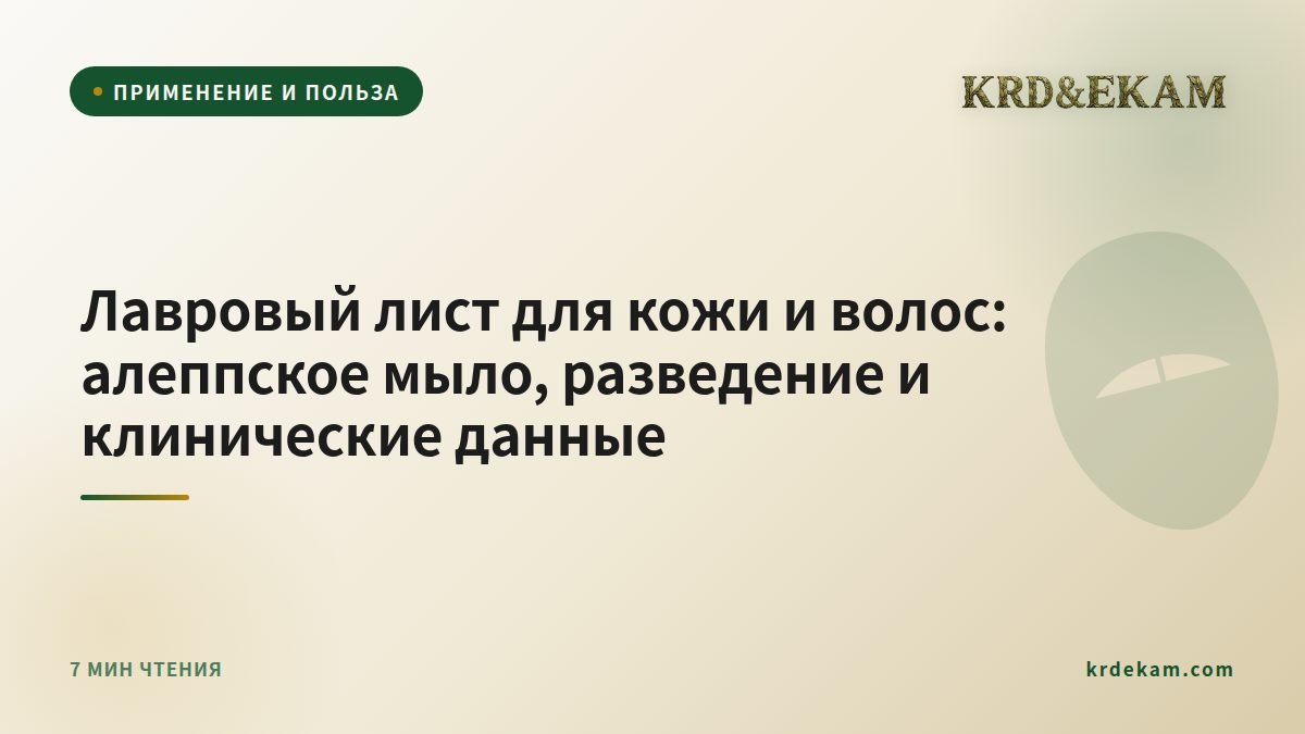 Лавровый лист для кожи и волос: алеппское мыло, разведение и клинические данные