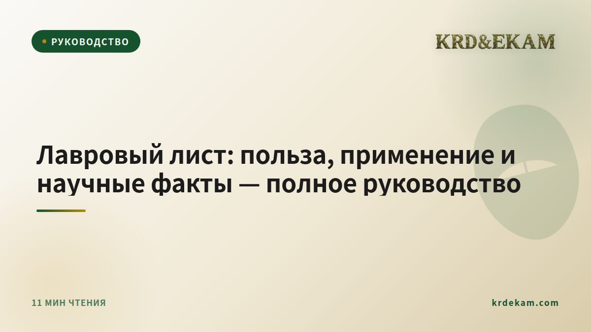 Лавровый лист: польза, применение и научные факты — полное руководство