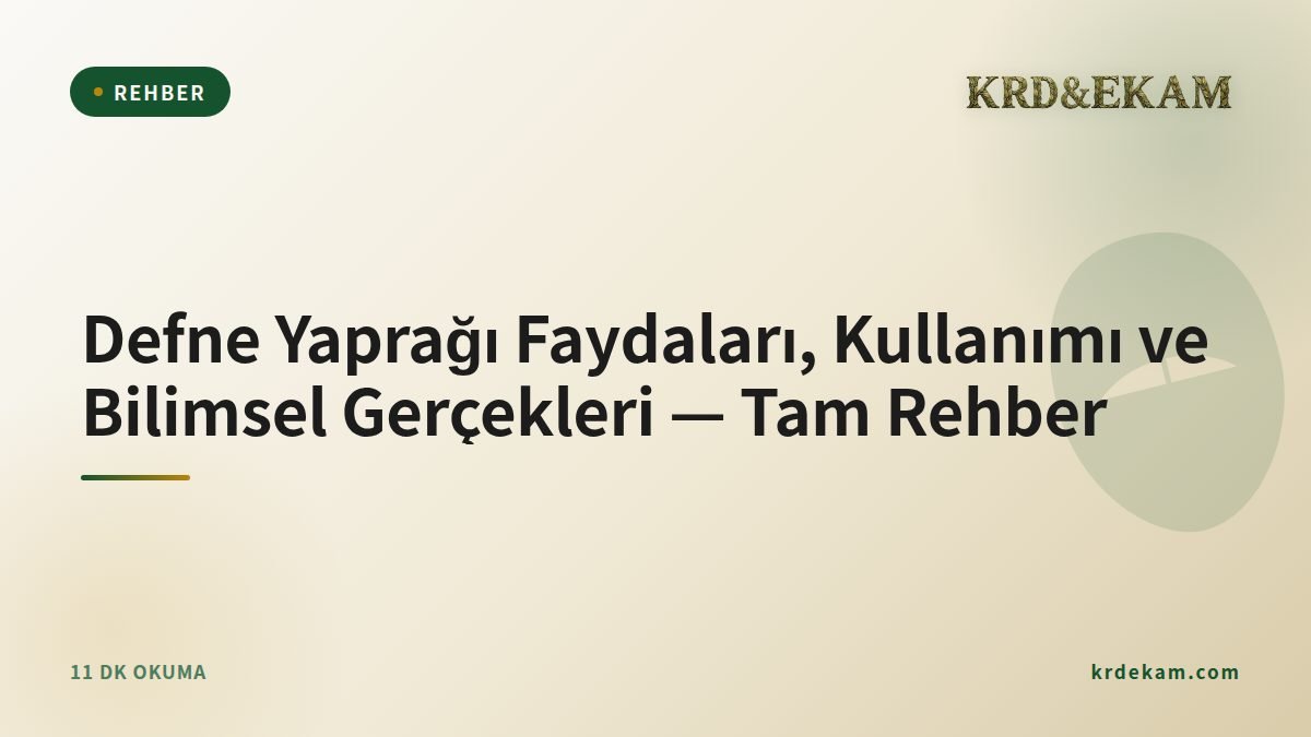 Defne Yaprağı Faydaları, Kullanımı ve Bilimsel Gerçekleri — Tam Rehber