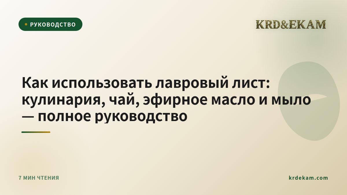 Как использовать лавровый лист: кулинария, чай, эфирное масло и мыло — полное руководство