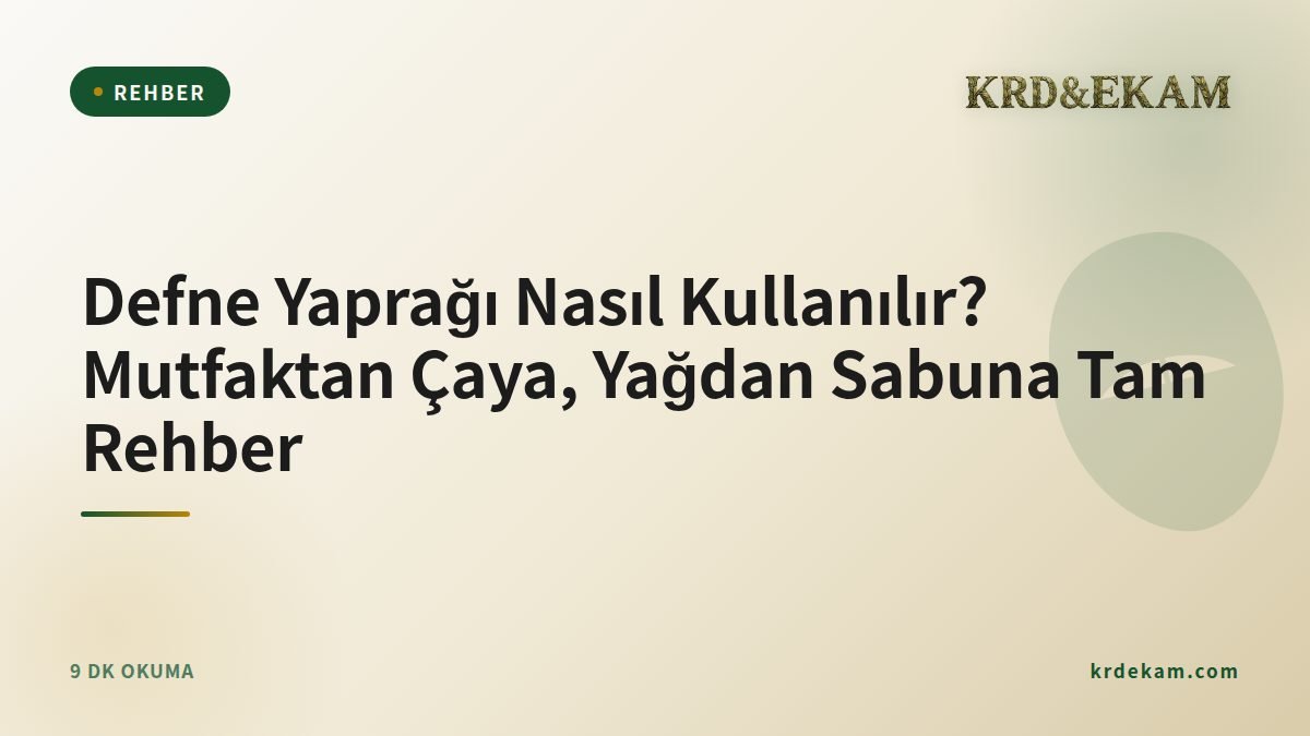 Defne Yaprağı Nasıl Kullanılır? Mutfaktan Çaya, Yağdan Sabuna Tam Rehber