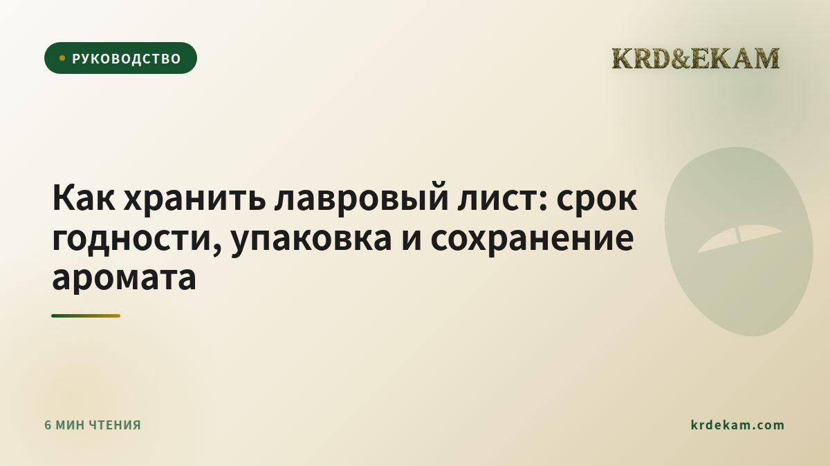 Как хранить лавровый лист: срок годности, упаковка и сохранение аромата