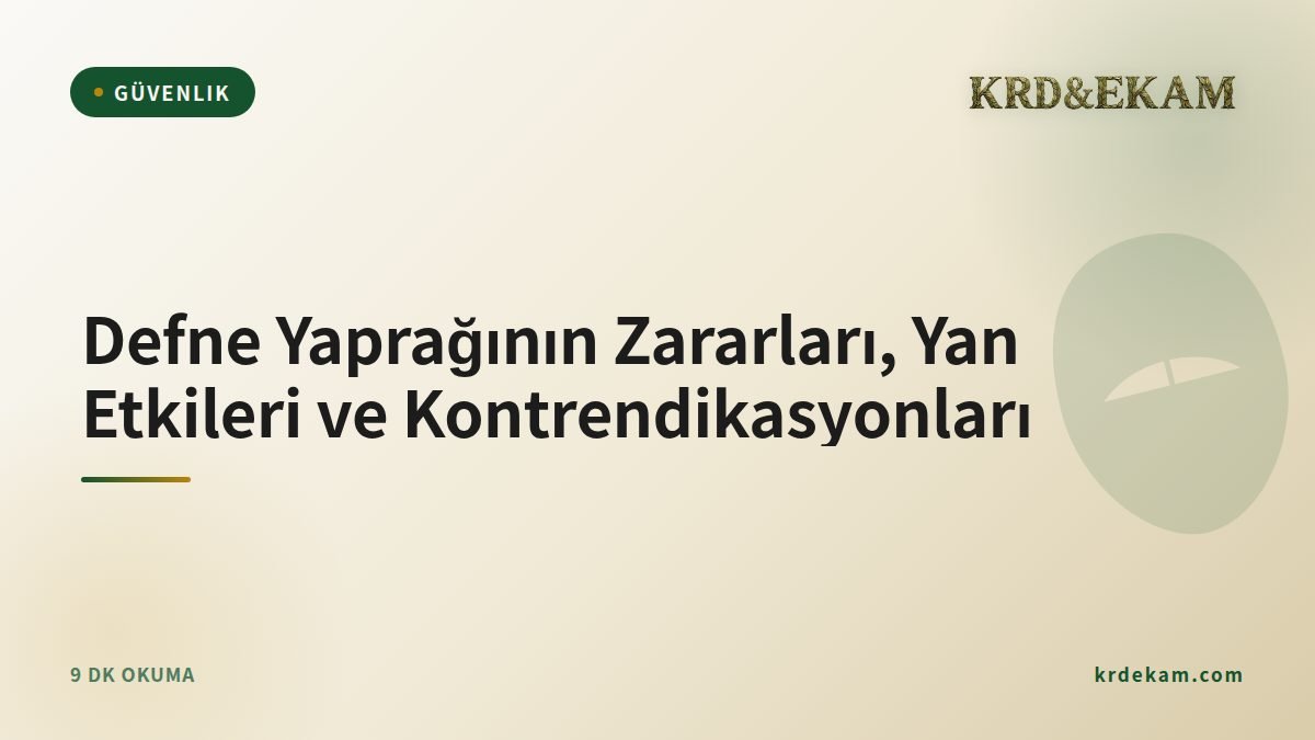 Defne Yaprağının Zararları, Yan Etkileri ve Kontrendikasyonları