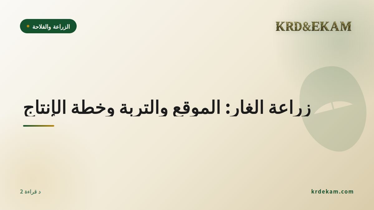 زراعة الغار: الموقع والتربة وخطة الإنتاج