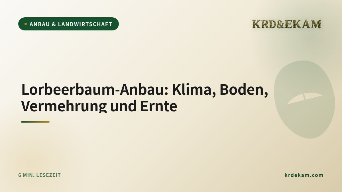 Lorbeerbaum-Anbau: Klima, Boden, Vermehrung und Ernte