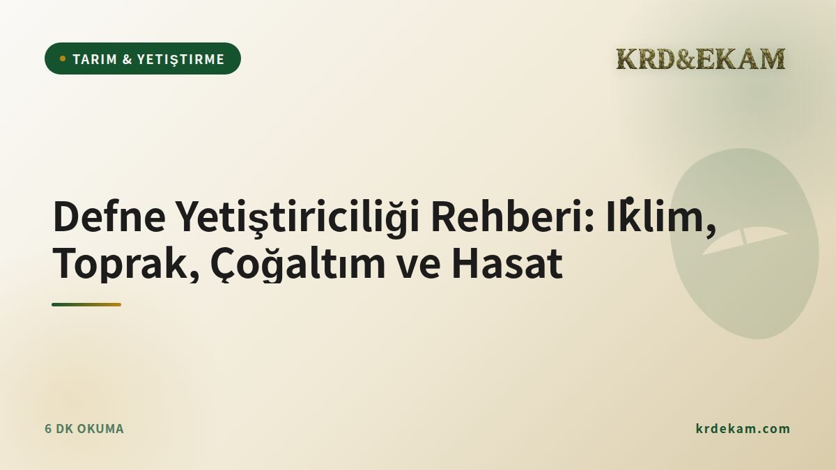 Defne Yetiştiriciliği Rehberi: İklim, Toprak, Çoğaltım ve Hasat