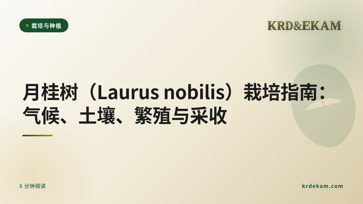 月桂树(Laurus nobilis)栽培指南:气候、土壤、繁殖与采收