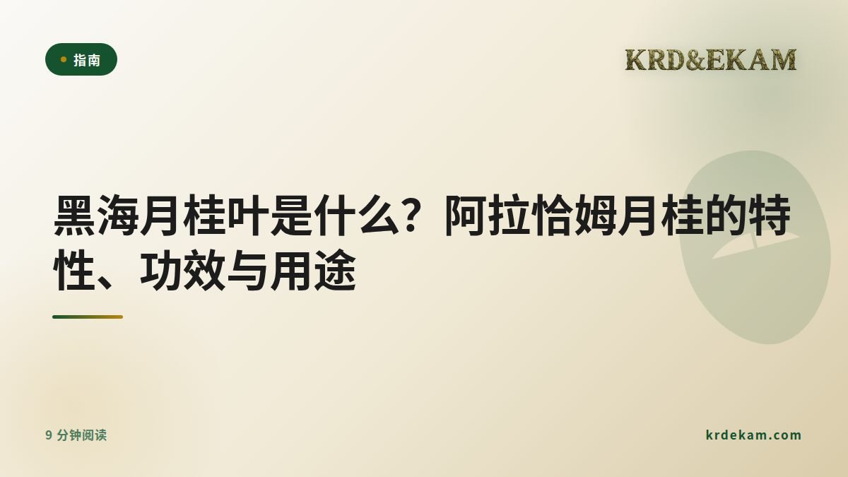 黑海月桂叶是什么？阿拉恰姆月桂的特性、功效与用途
