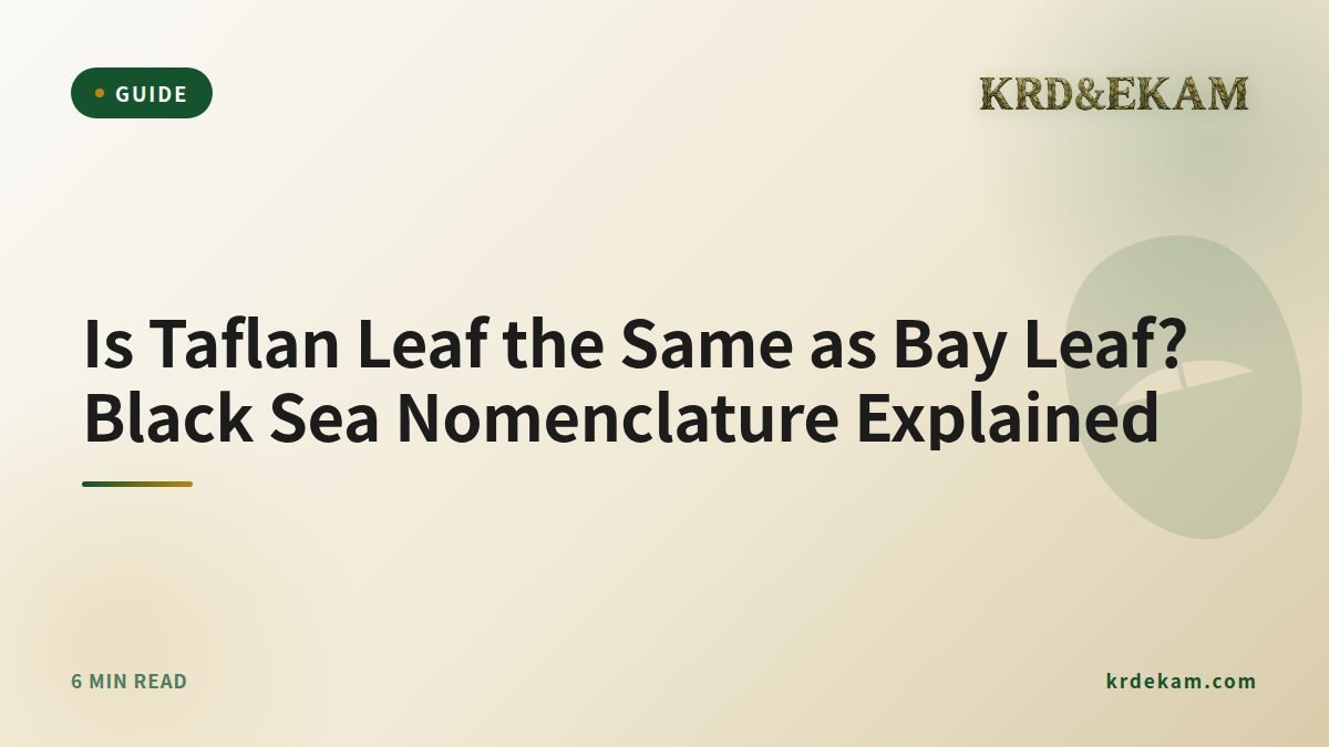 Is Taflan Leaf the Same as Bay Leaf? Black Sea Nomenclature Explained