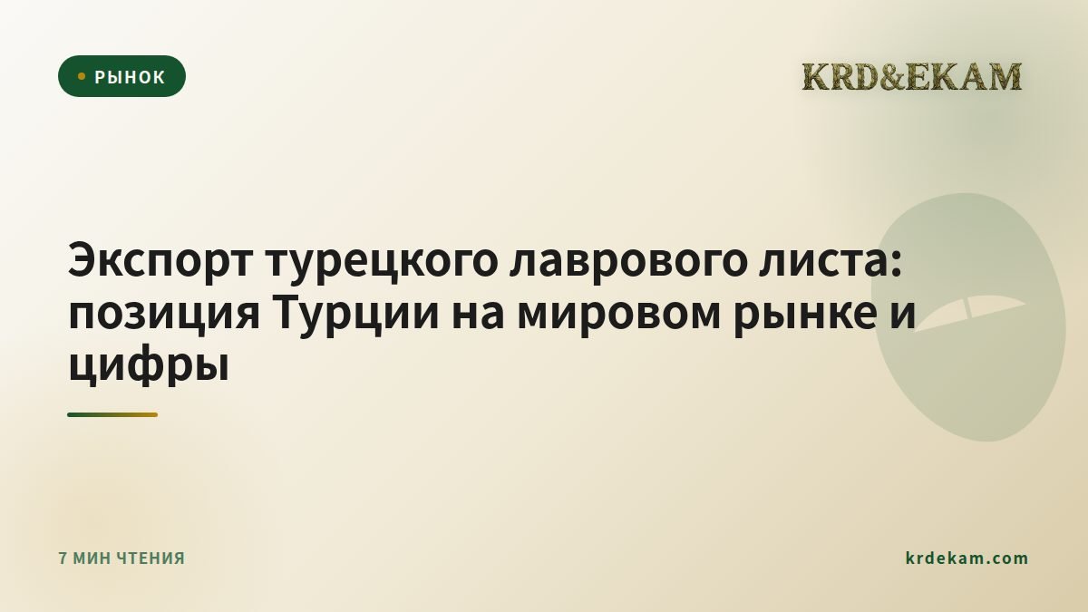 Экспорт турецкого лаврового листа: позиция Турции на мировом рынке и цифры