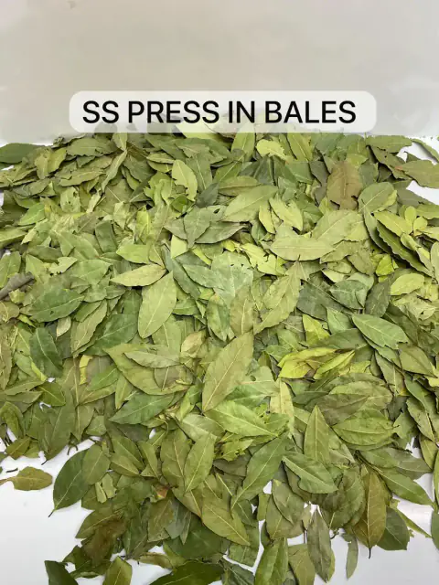 Bay Leaf Calibration and Quality Control