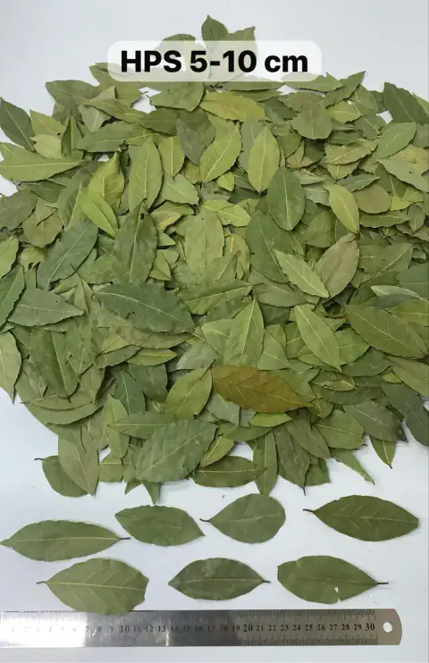 Alacam Bay Leaf Packaging Line