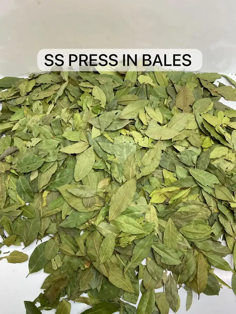SS Press in Bales